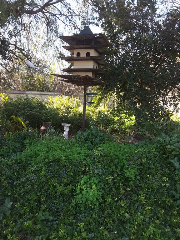 Bed and Breakfast The Dove Cote Tanunda Exterior foto