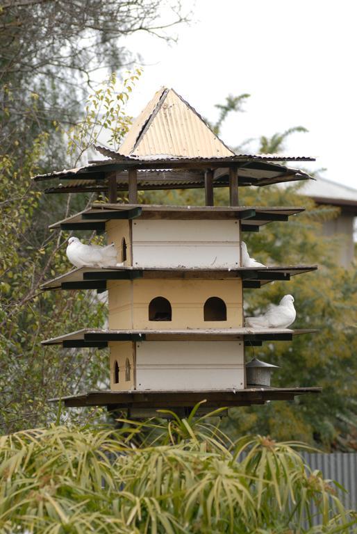 Bed and Breakfast The Dove Cote Tanunda Exterior foto